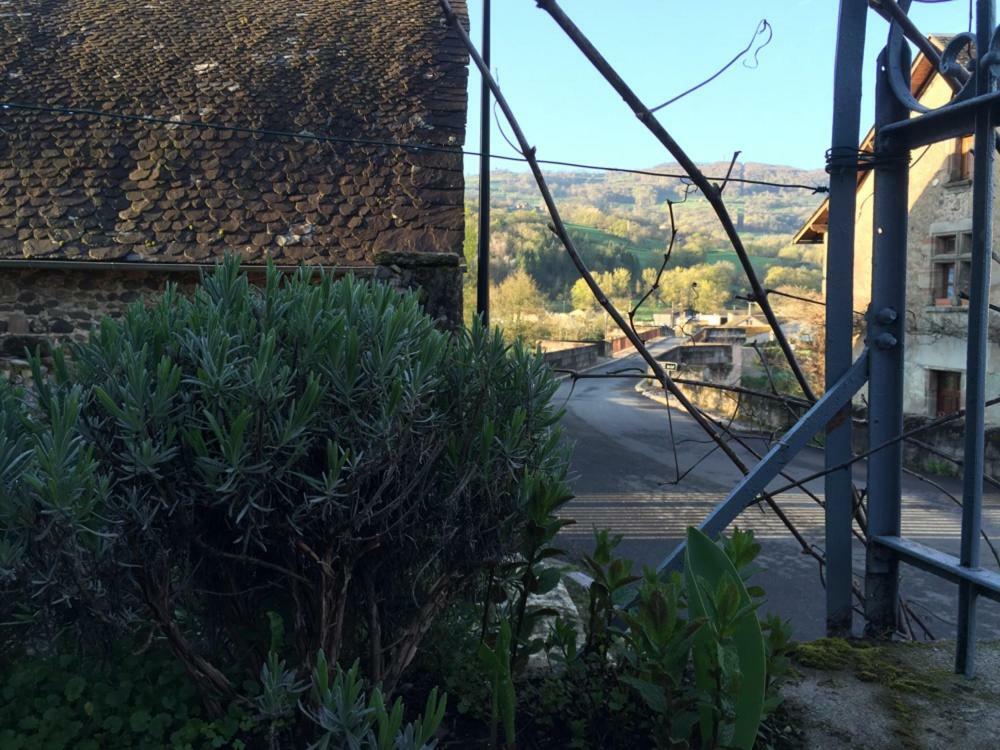 מלון Saint-Côme-dʼOlt Au Pont D'Olt מראה חיצוני תמונה